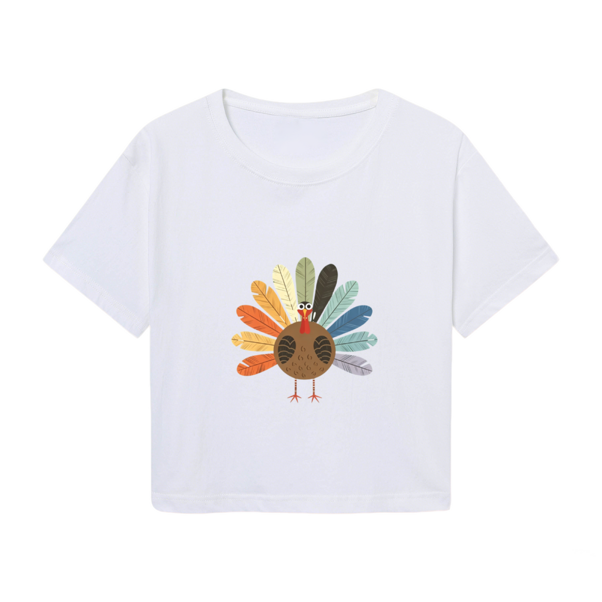 Boho Colorful Feather Turkey Minimal Thanksgiving Fall Crop product image 2