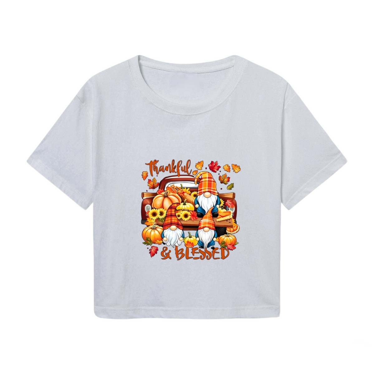 Thankful & Blessed Gnome Pumpkin Truck Fall Thanksgiving product image 2